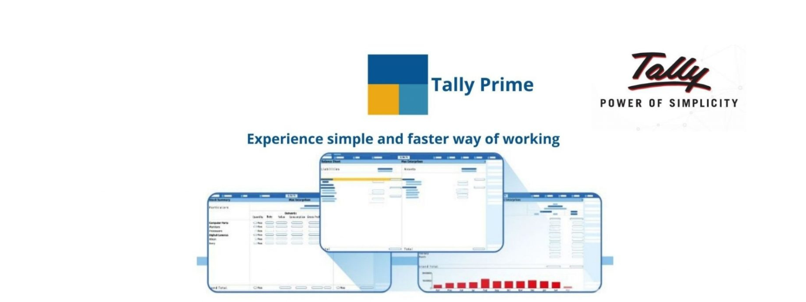 DS Software & Web Solutions | Tally Prime services in Delhi